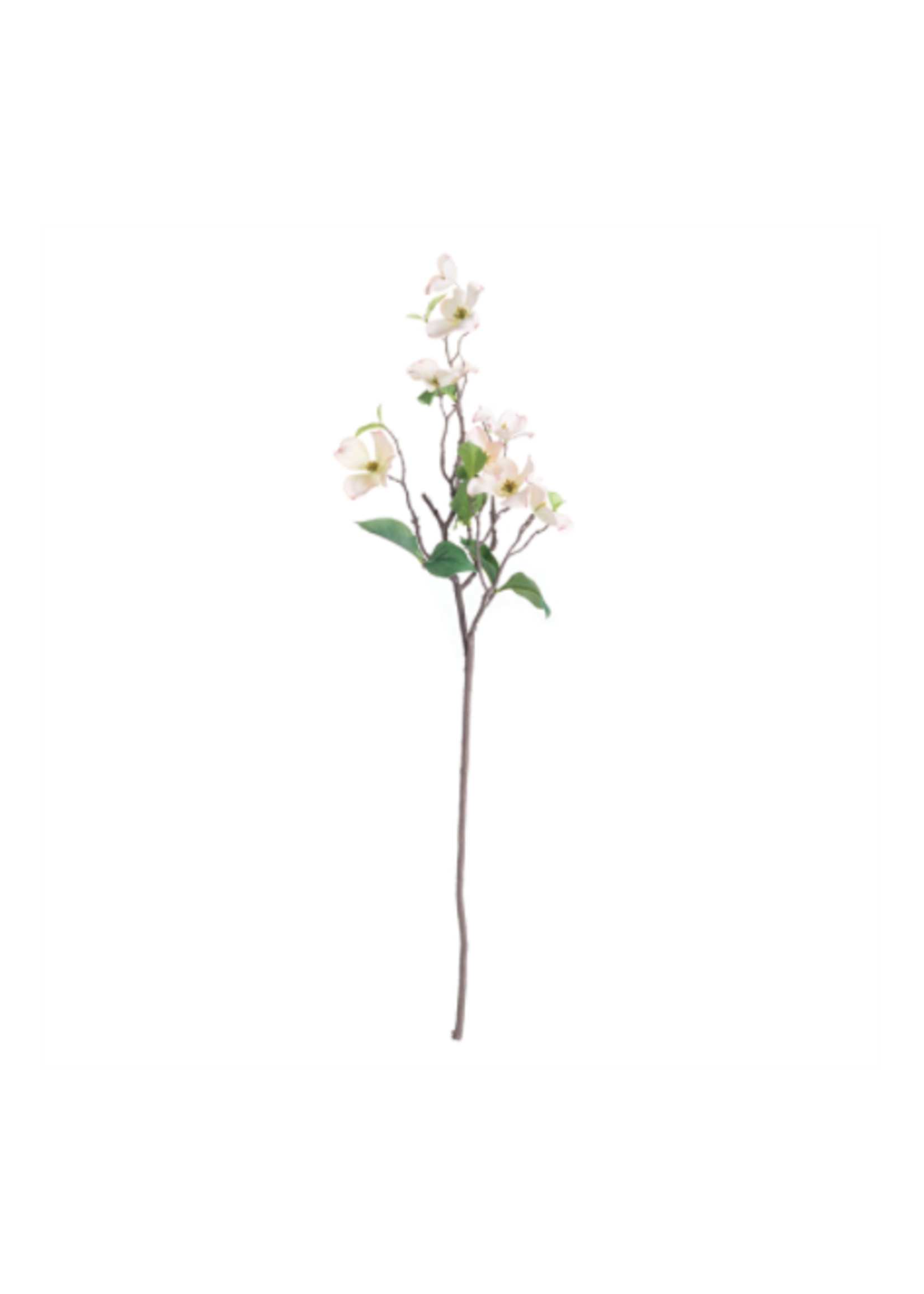 Moss Out! 20 Moss Out! Moss Killer Lawn Granules 100099164 The Home