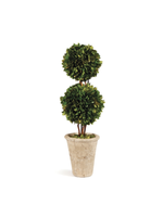 Boxwood Topiary - Double Ball Tree 20"