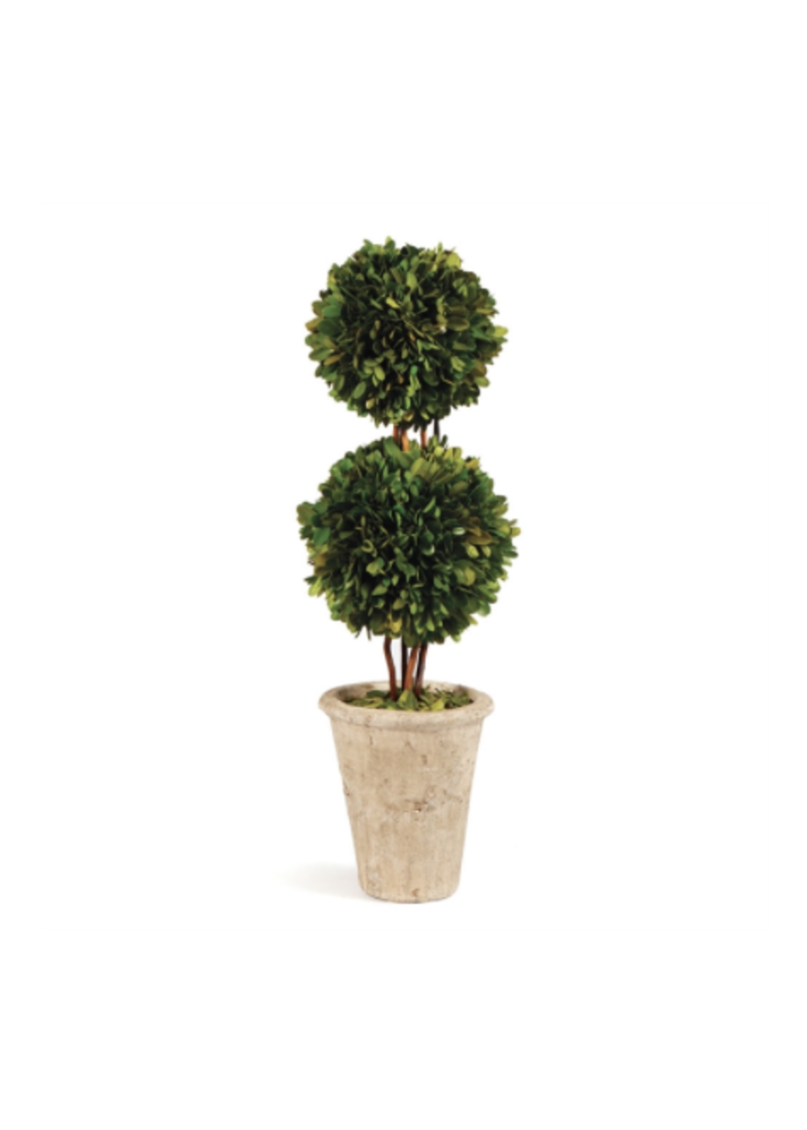 Mills Floral Company Boxwood Topiary - Preserved Double Ball Tree 20"
