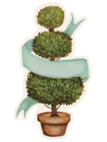 Hester & Cook Table Accents - Topiary (pack of 12)