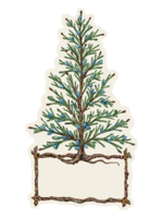 Hester & Cook Table Accents - Cedar Tree (pack of 12)
