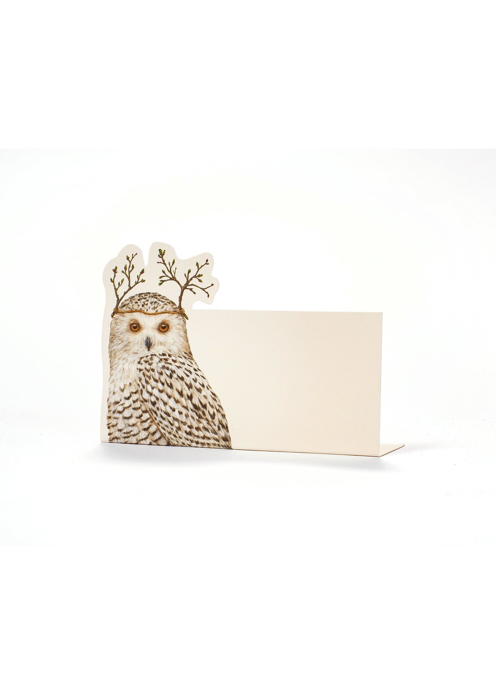 Hester & Cook Place Cards - Winter Owl (pack of 12)