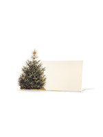 Hester & Cook Place Cards - Christmas Tree (pack of 12)