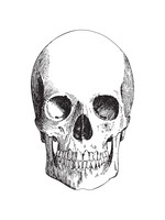 Hester & Cook Paper Placemats - Skull (12 sheets)