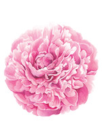 Hester & Cook Paper Placemats - Peony (12 sheets)