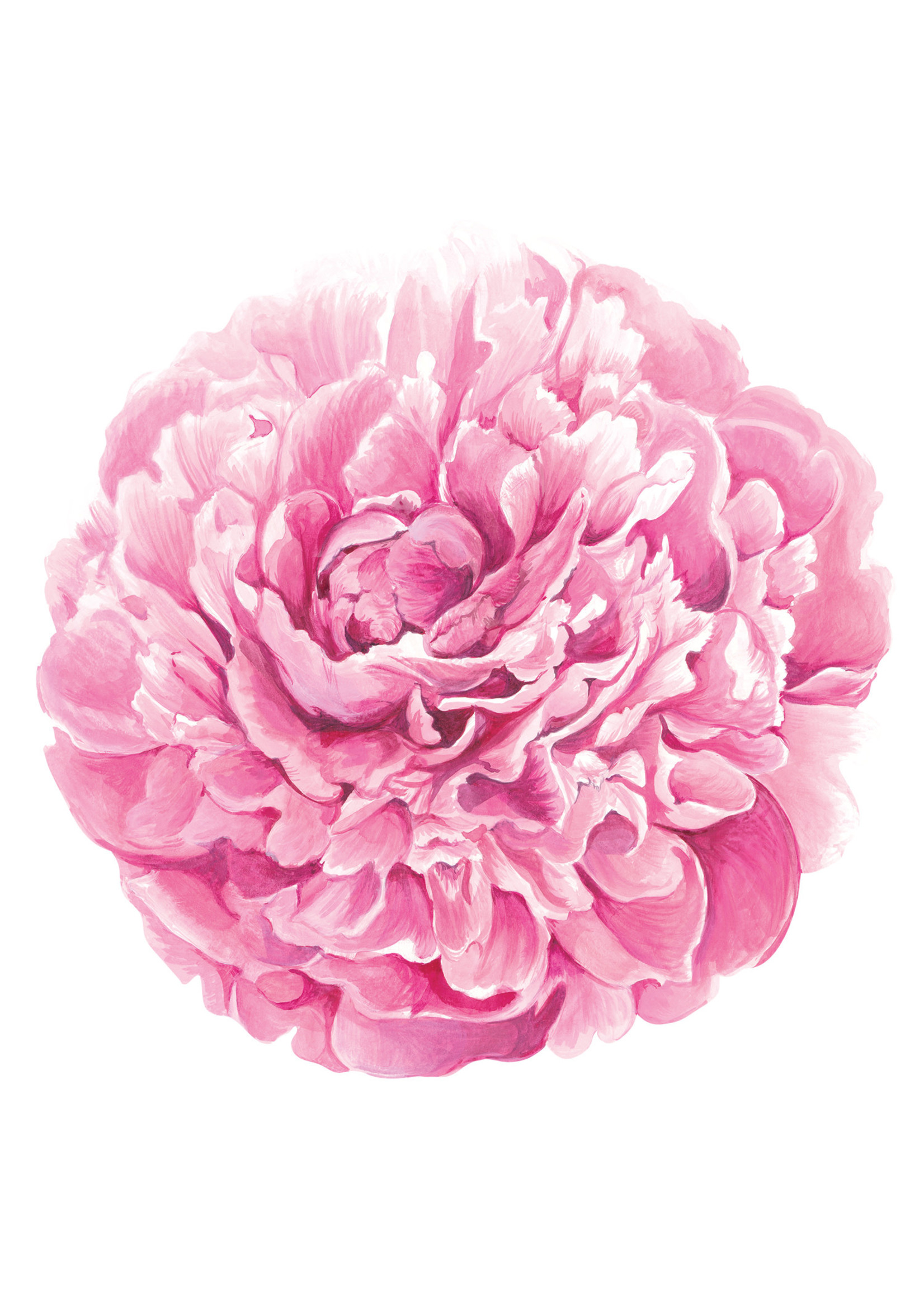 Hester & Cook Paper Placemats - Peony (12 sheets)