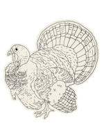 Hester & Cook Paper Placemats - Coloring Turkey (12 sheets)