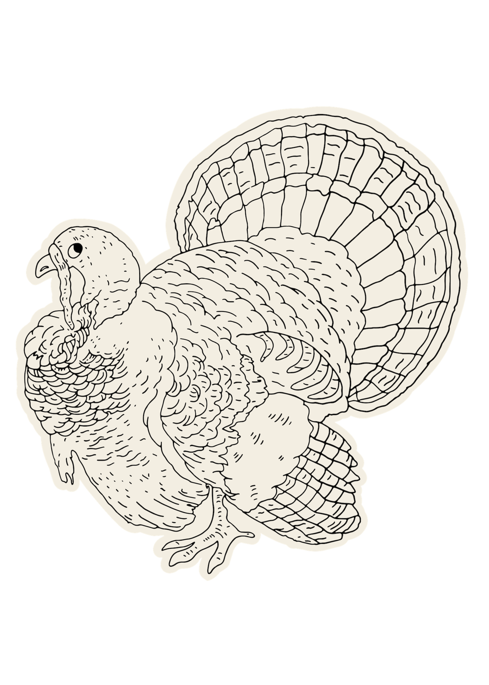 Hester & Cook Paper Placemats - Coloring Turkey (12 sheets)