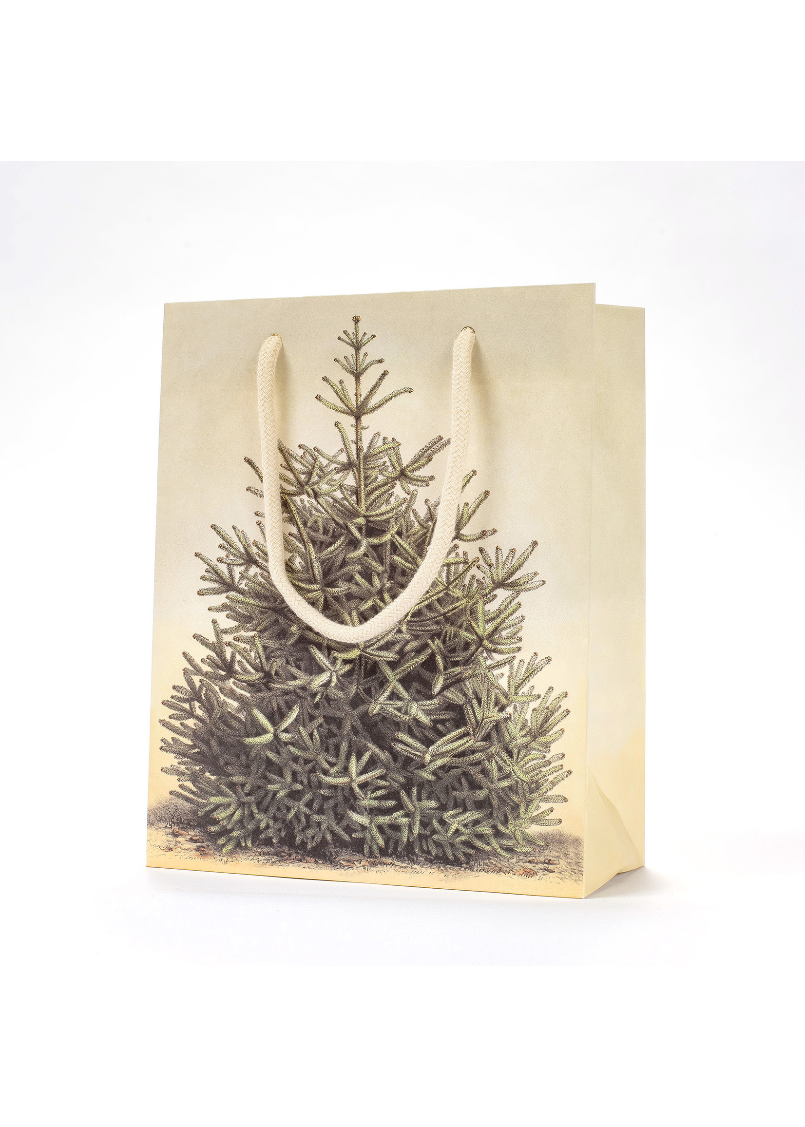 Hester & Cook Gift Bag - Fir Tree