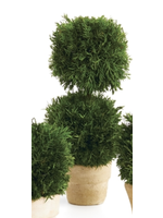 Cypress Topiary Mini - Tree Double