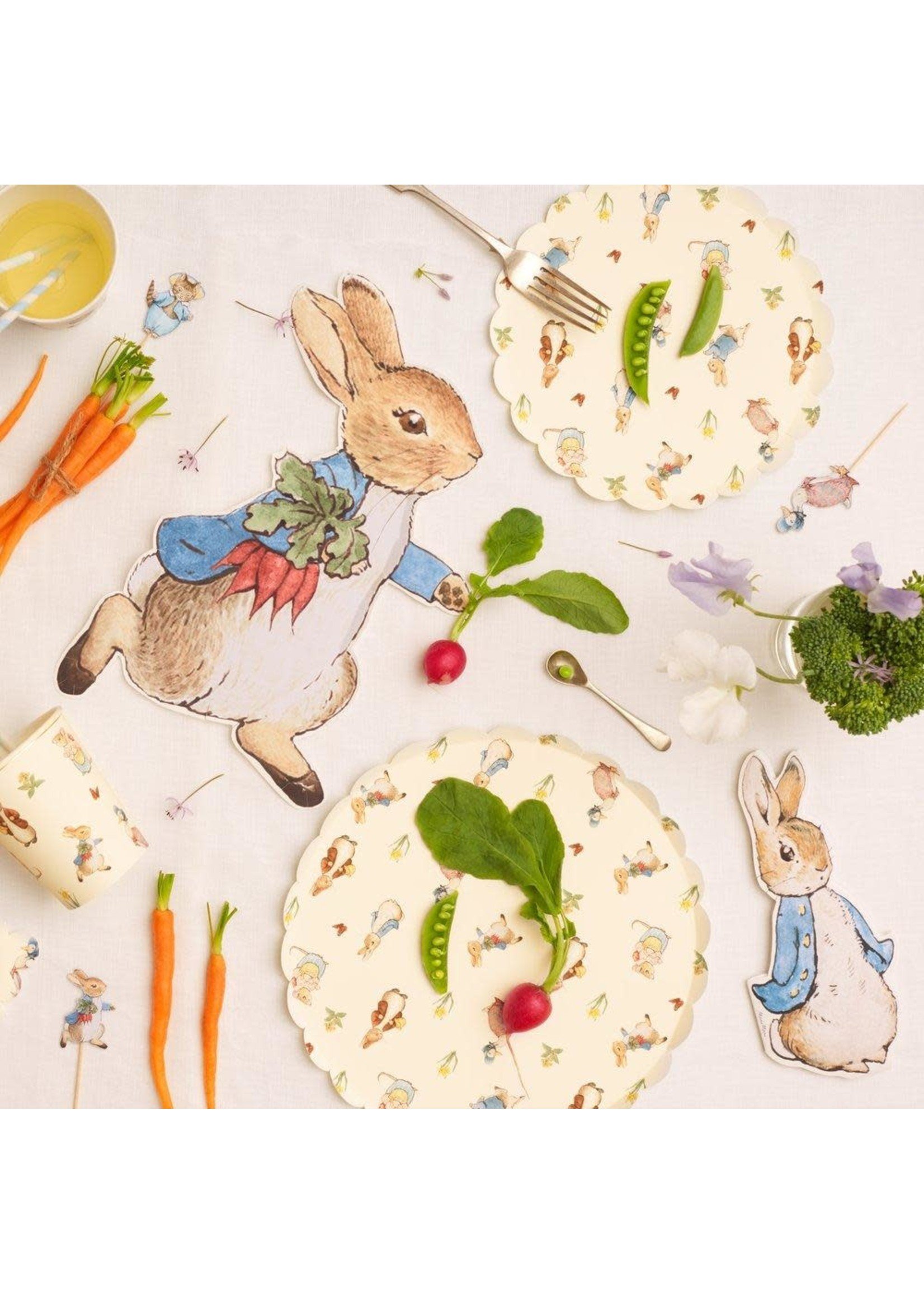 Peter rabbit shop paper plates