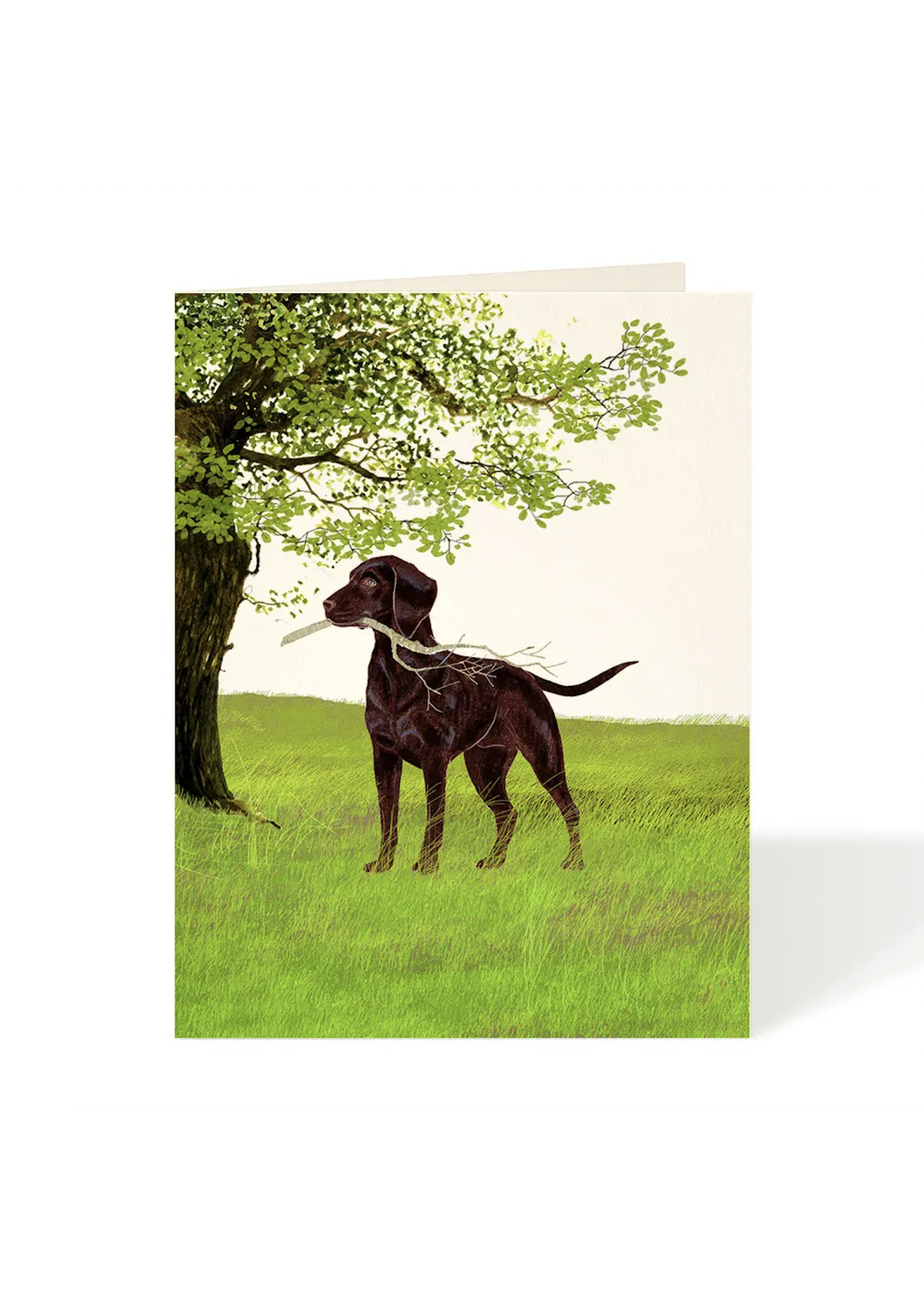 Felix Doolittle Card - Dog with Stick