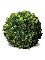 Boxwood Topiary - Preserved Ball 10"