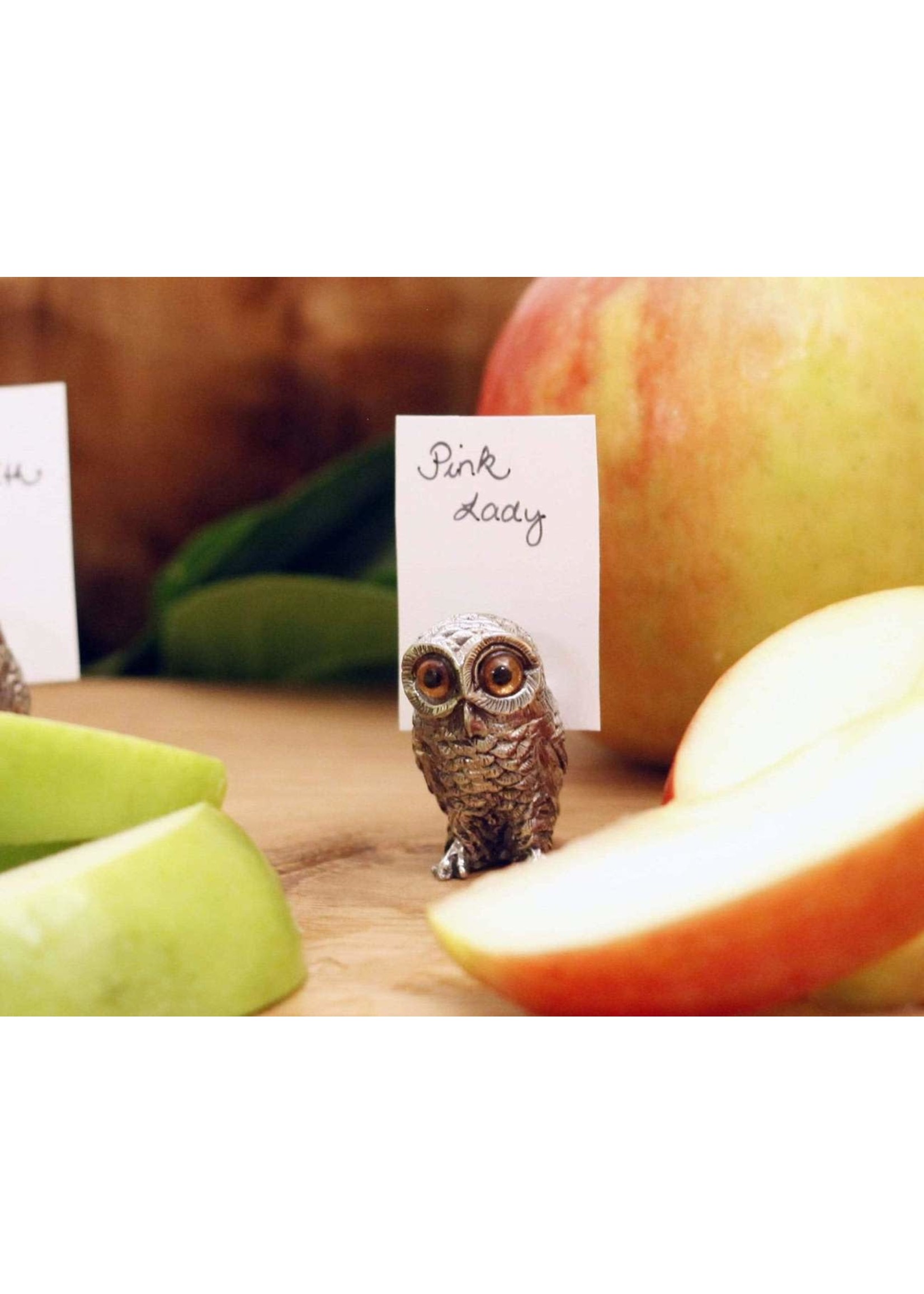 Place Card Holder - Owl