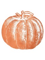 Hester & Cook Paper Placemats - Pumpkin