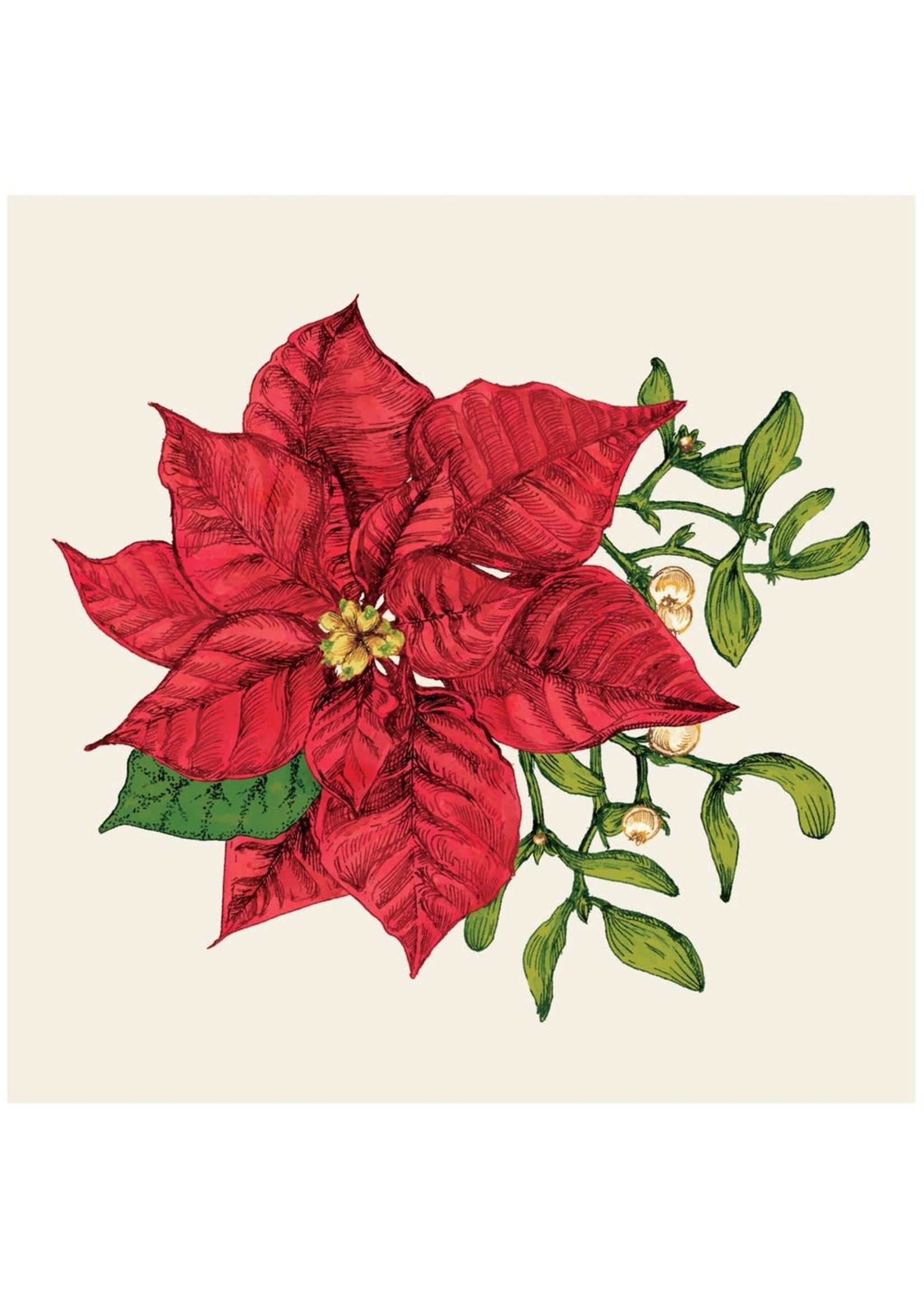 Hester & Cook Paper Cocktail Napkins - Poinsettia