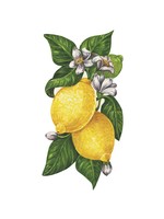 Hester & Cook Table Accents - Lemons (pack of 12)