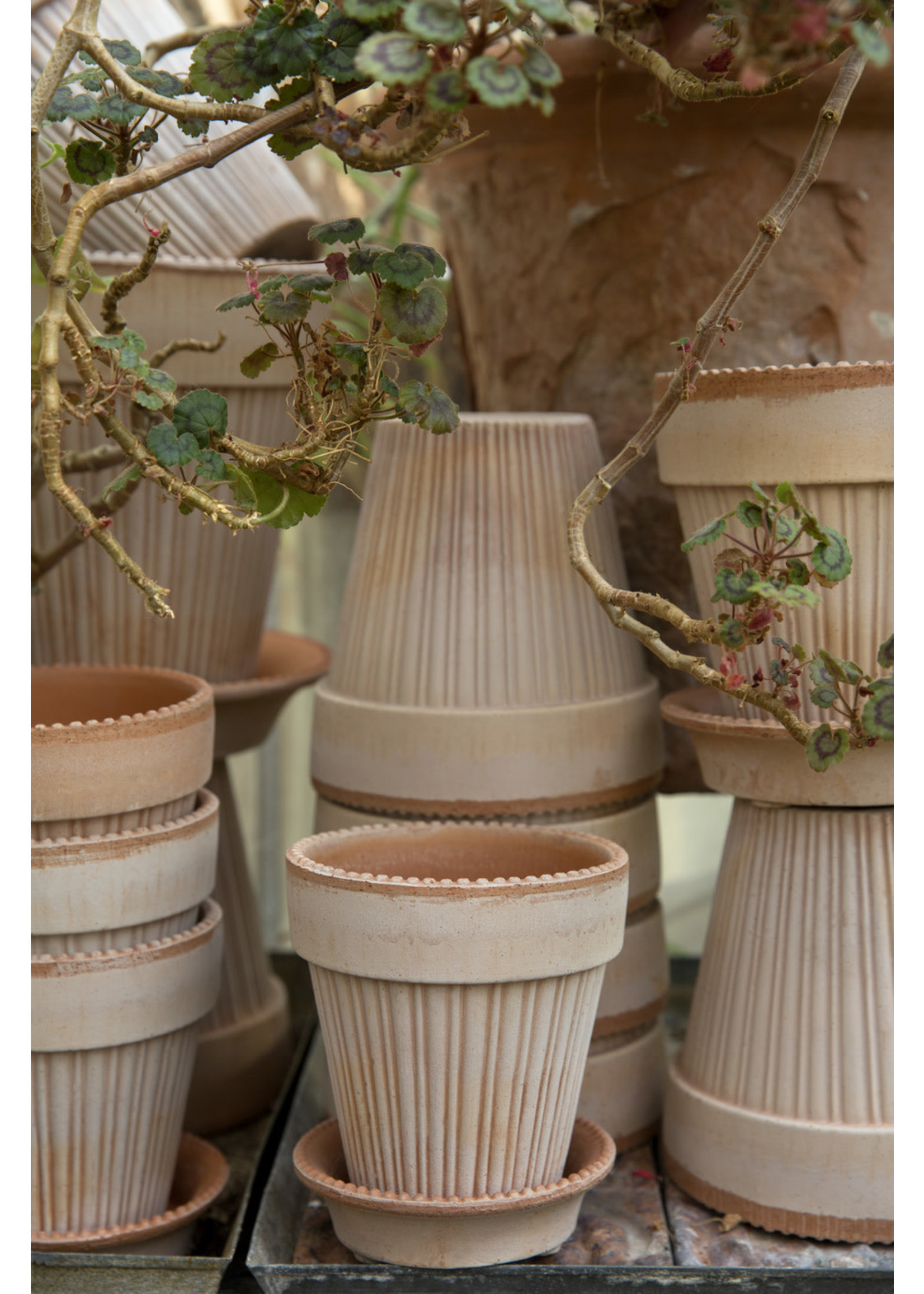 Bergs Potter Garden Pot Simona - Rosa 12