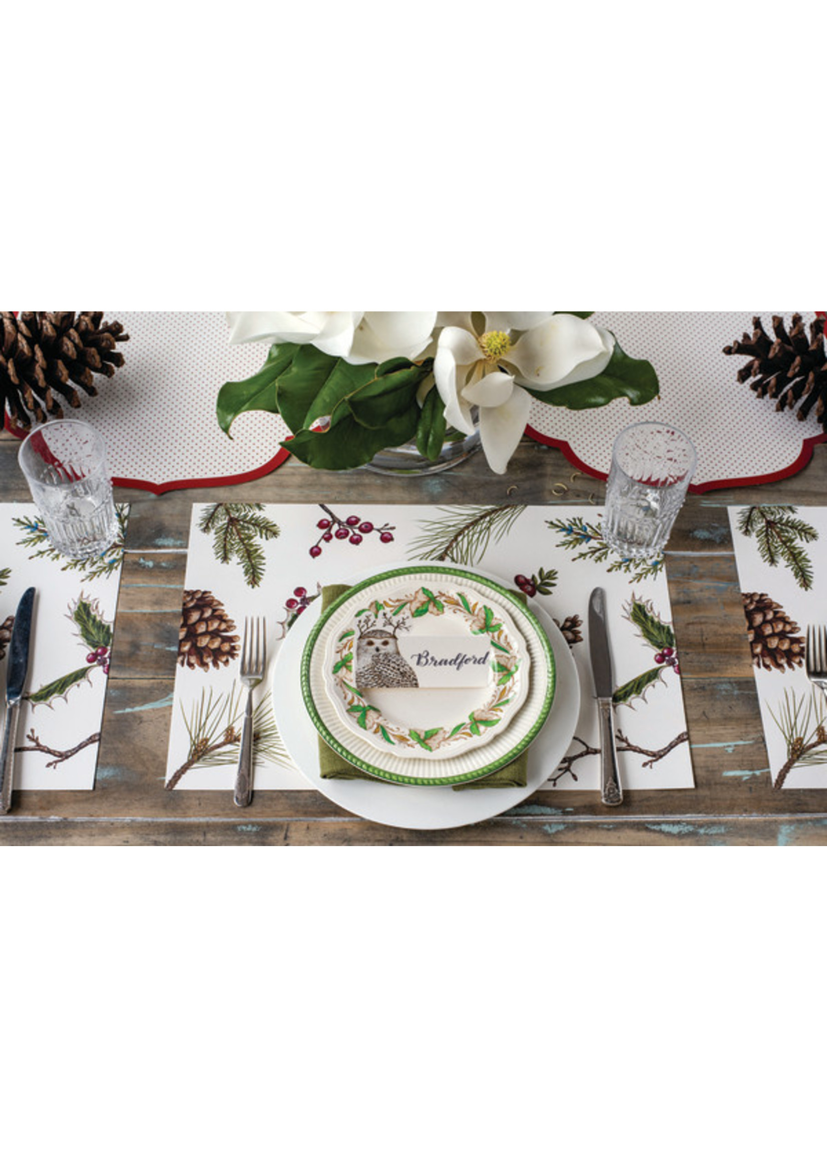 Hester & Cook Place Cards - Winter Owl (pack of 12)