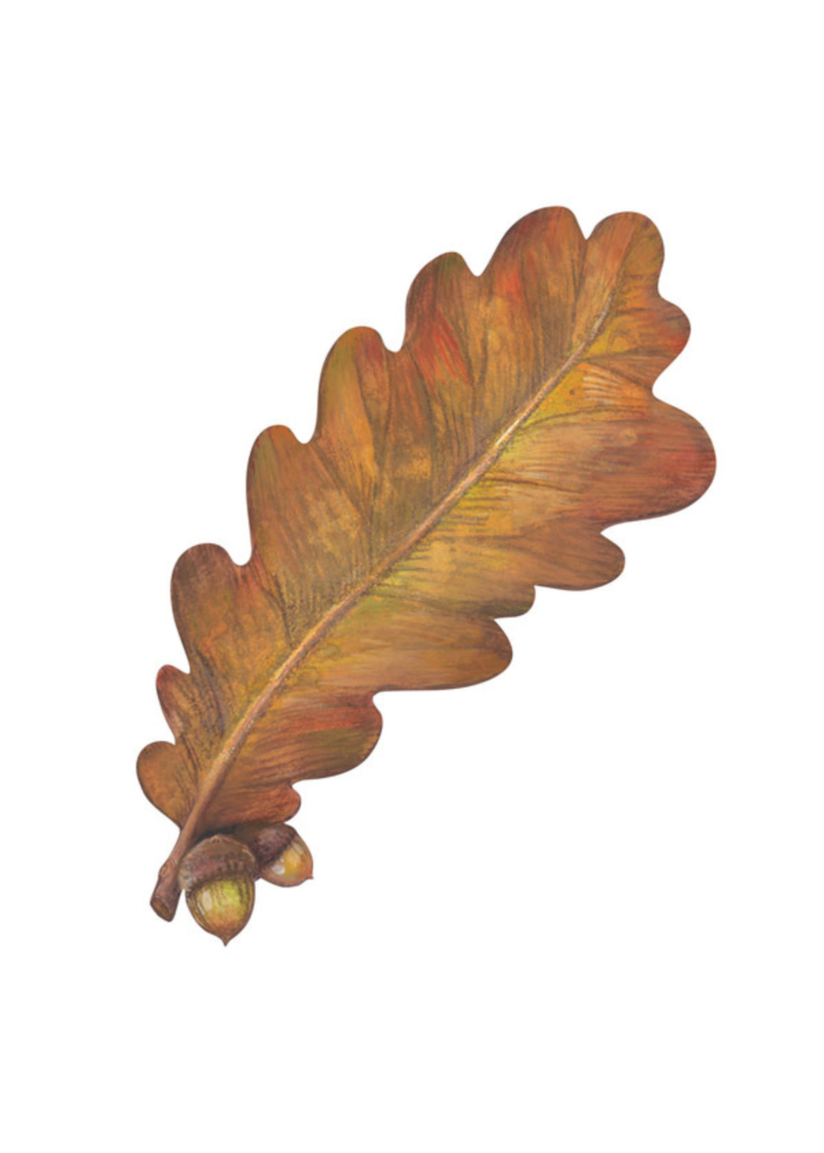 Hester & Cook Table Accents - Autumn Leaf (pack of 12)