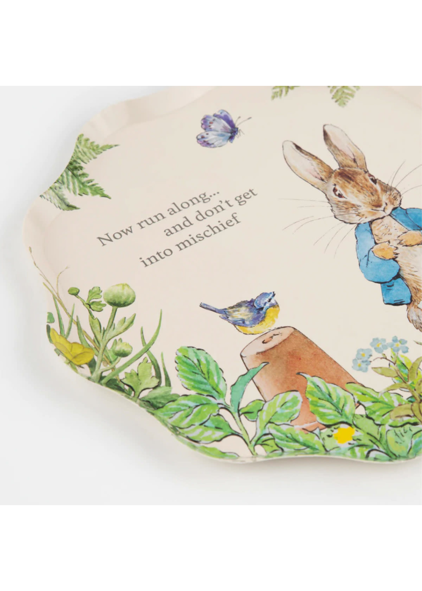 Meri Meri Peter Rabbit - Paper Side Plates