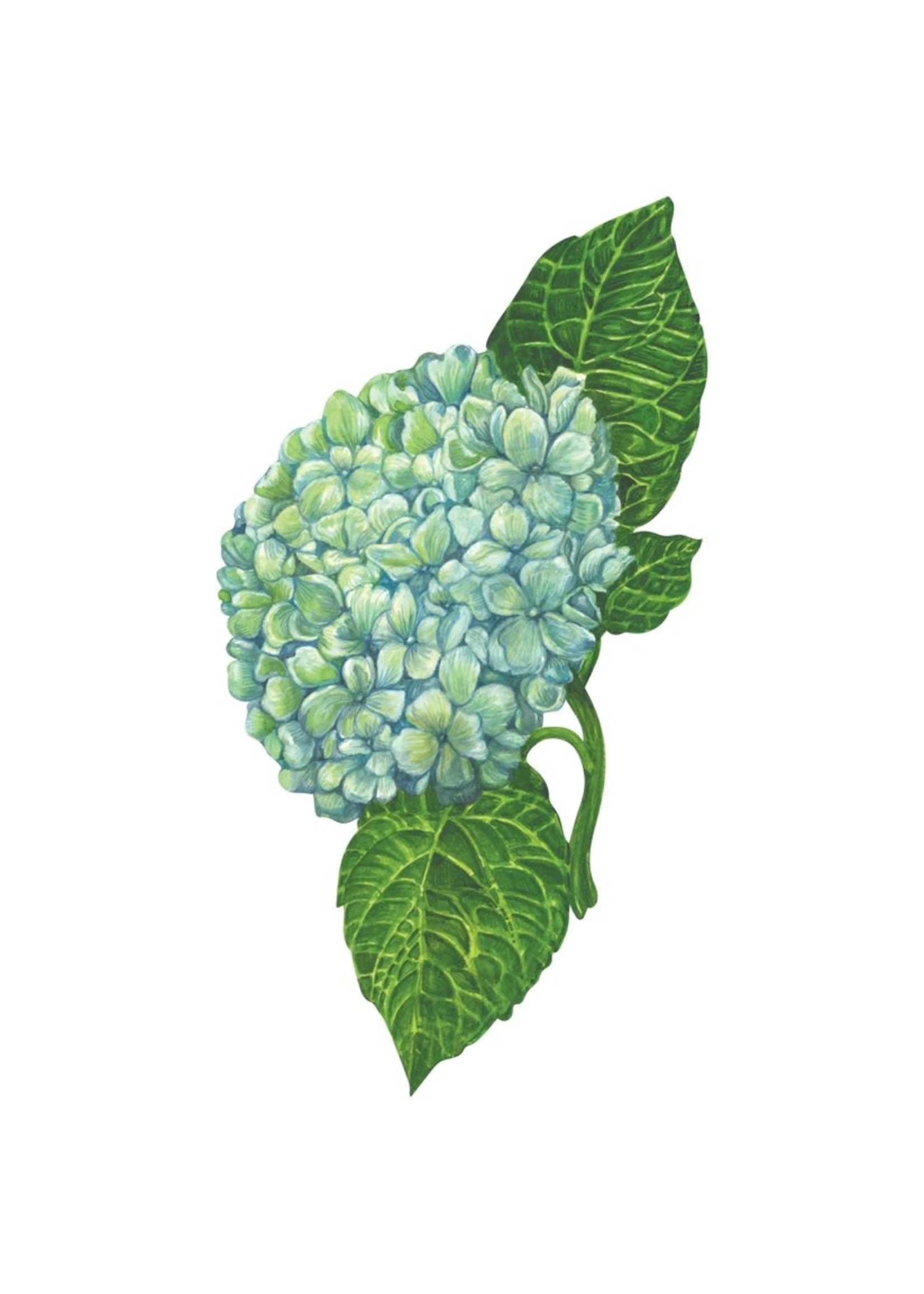 Hester & Cook Table Accents - Hydrangea (pack of 12)