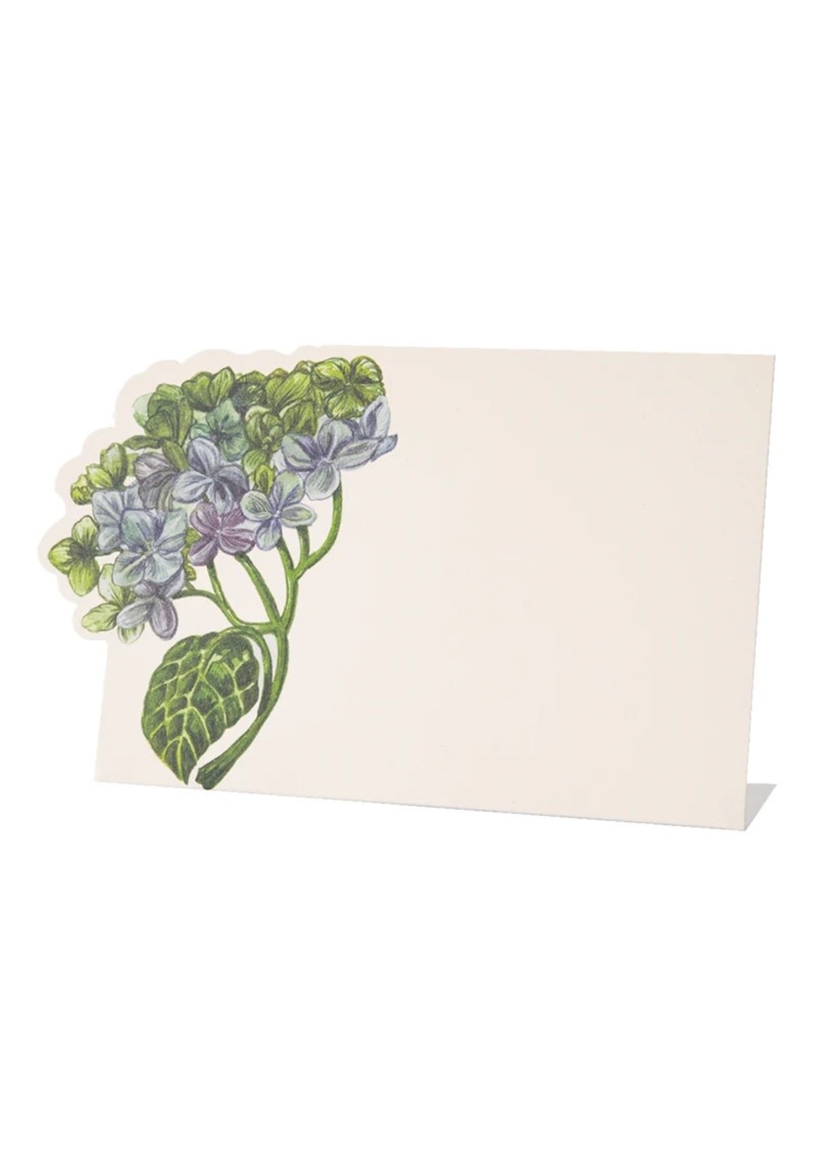 Hester & Cook Place Cards - Hydrangea (pack of 12)