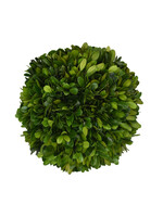 Mills Floral Company Boxwood Topiary - Preserved Ball 8"