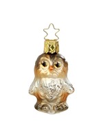 Ornament - Whooo?  2.4”