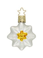 Ornament - Edelweiss Stern
