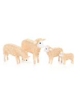 Sheep Family (4)