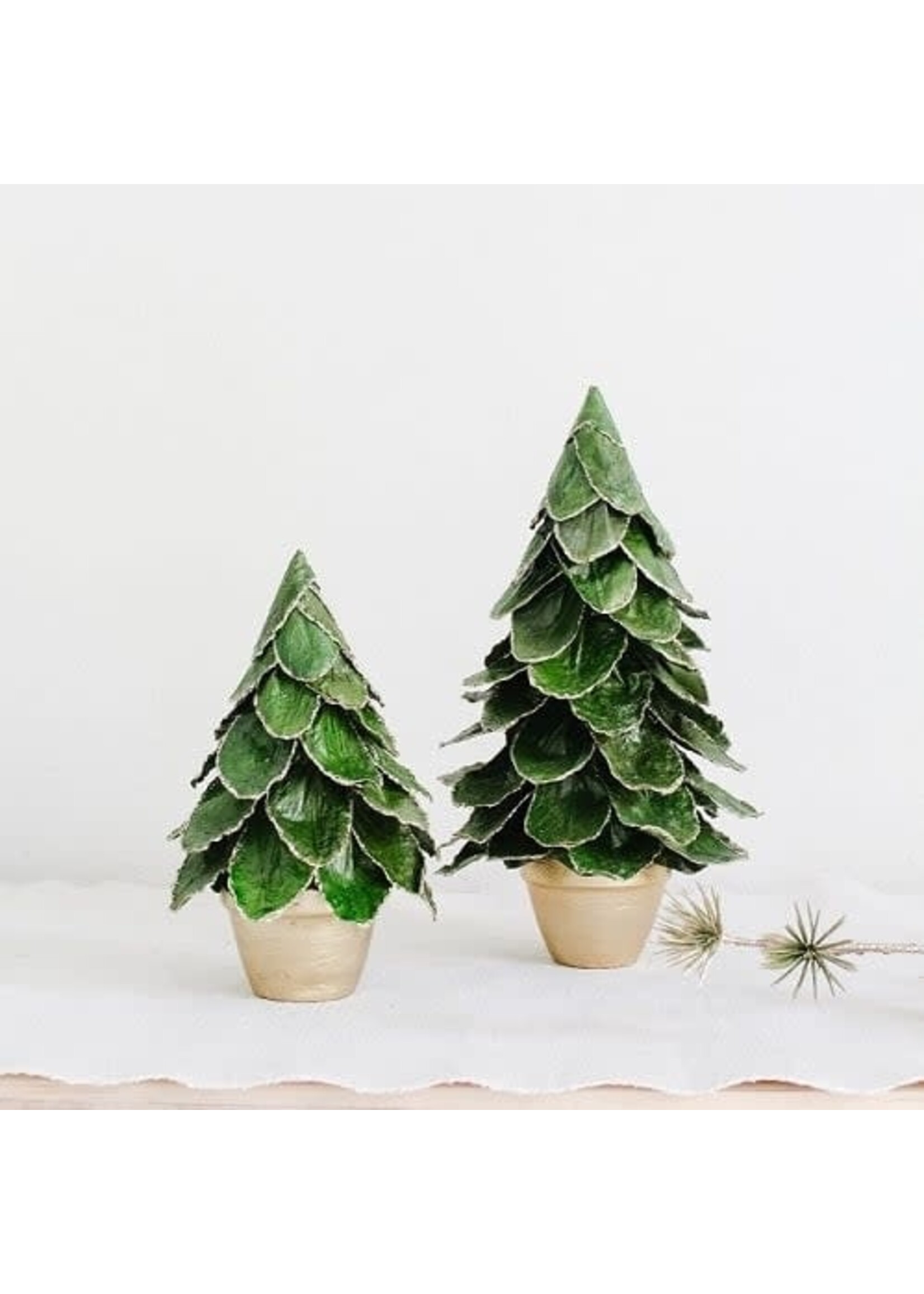 Tree - Potted Green Butterfly Leaf Cone Tree 22"