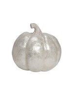 Pumpkin Capiz - White Medium  6"