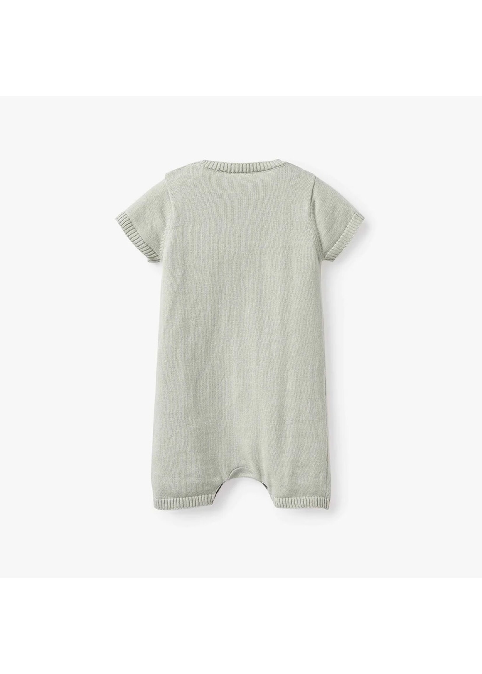 On the Farm Knit Shortall Romper - Sage