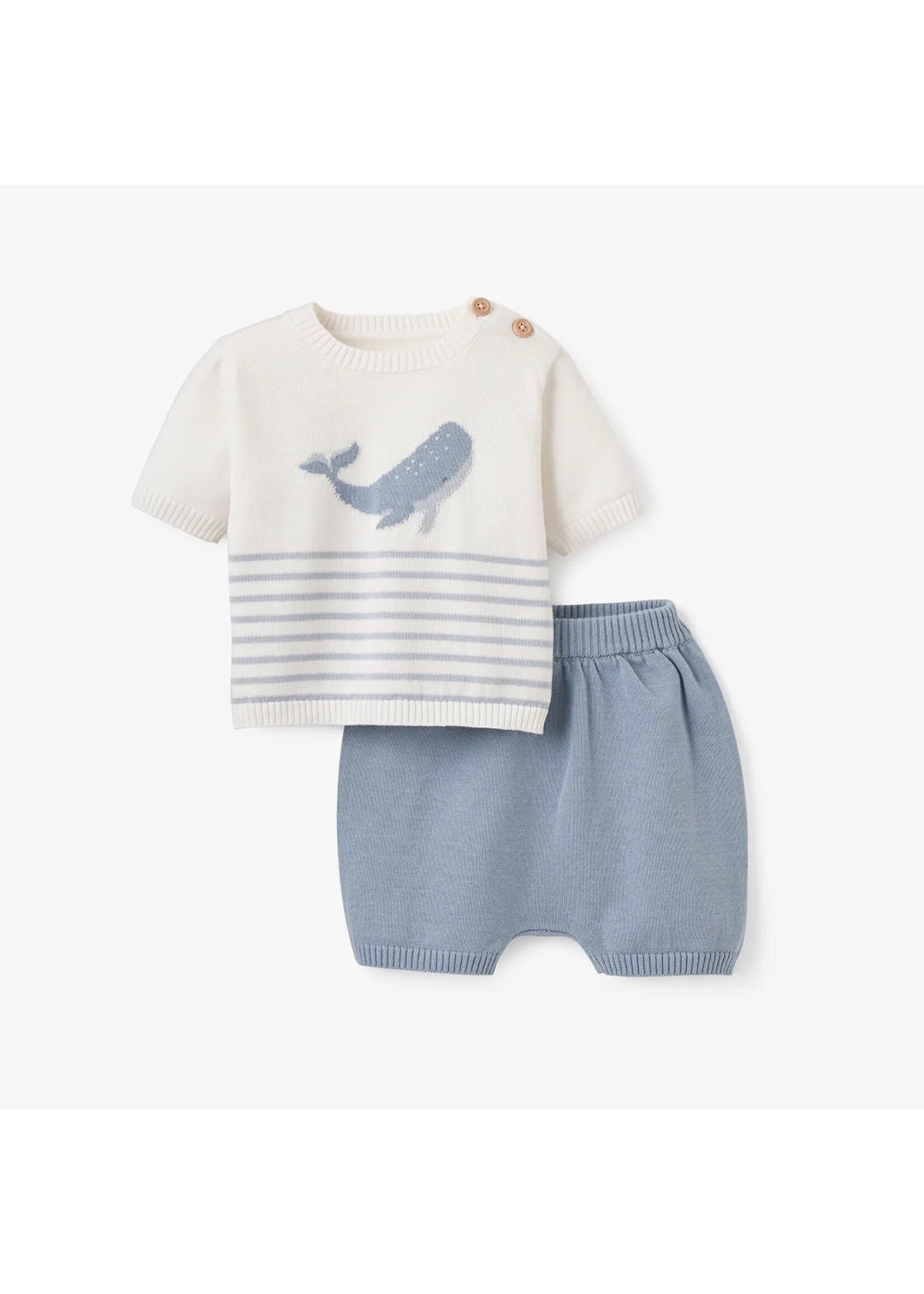 Whale Striped Knit Short Set