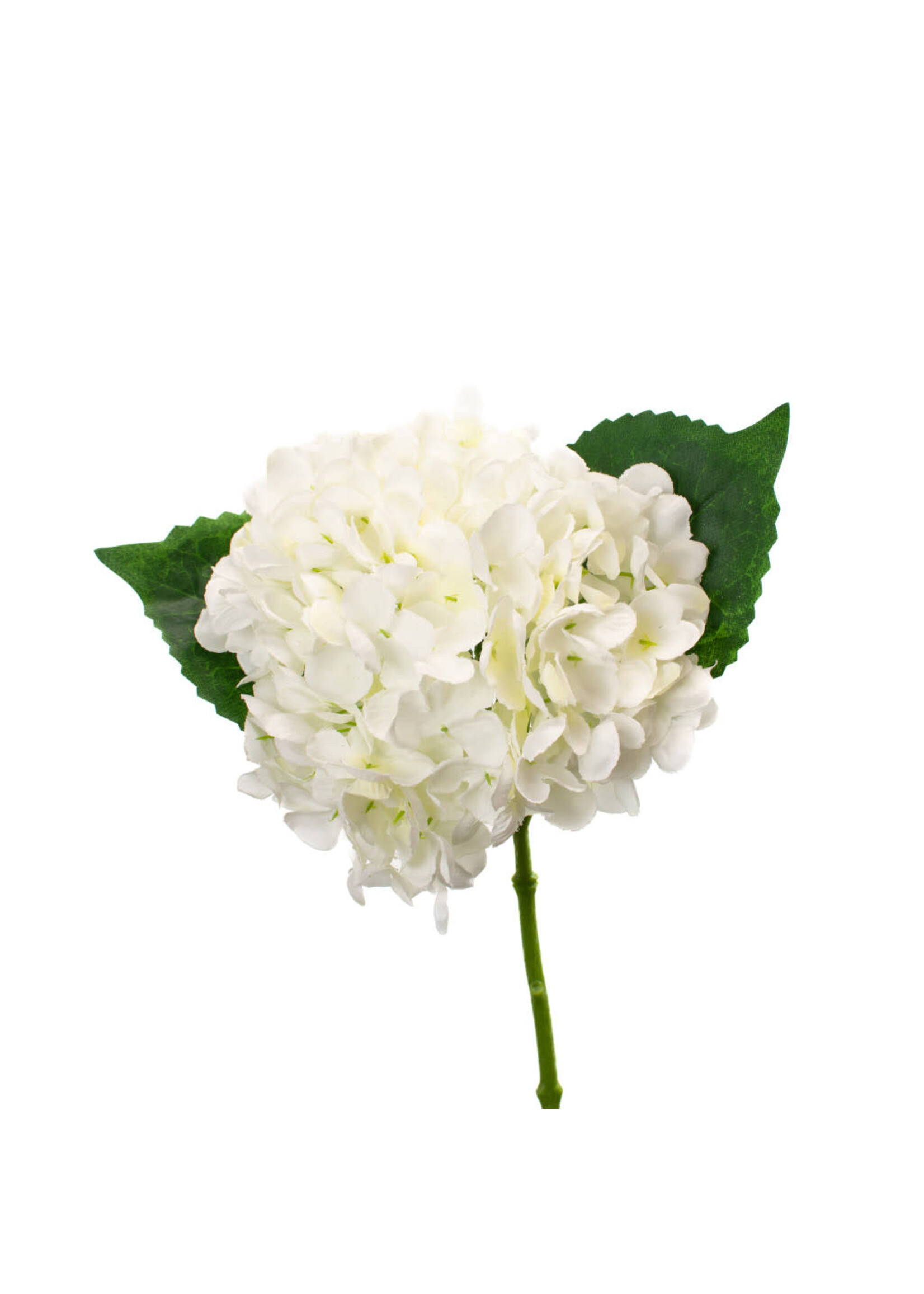 Hydrangea - Lace White 13"