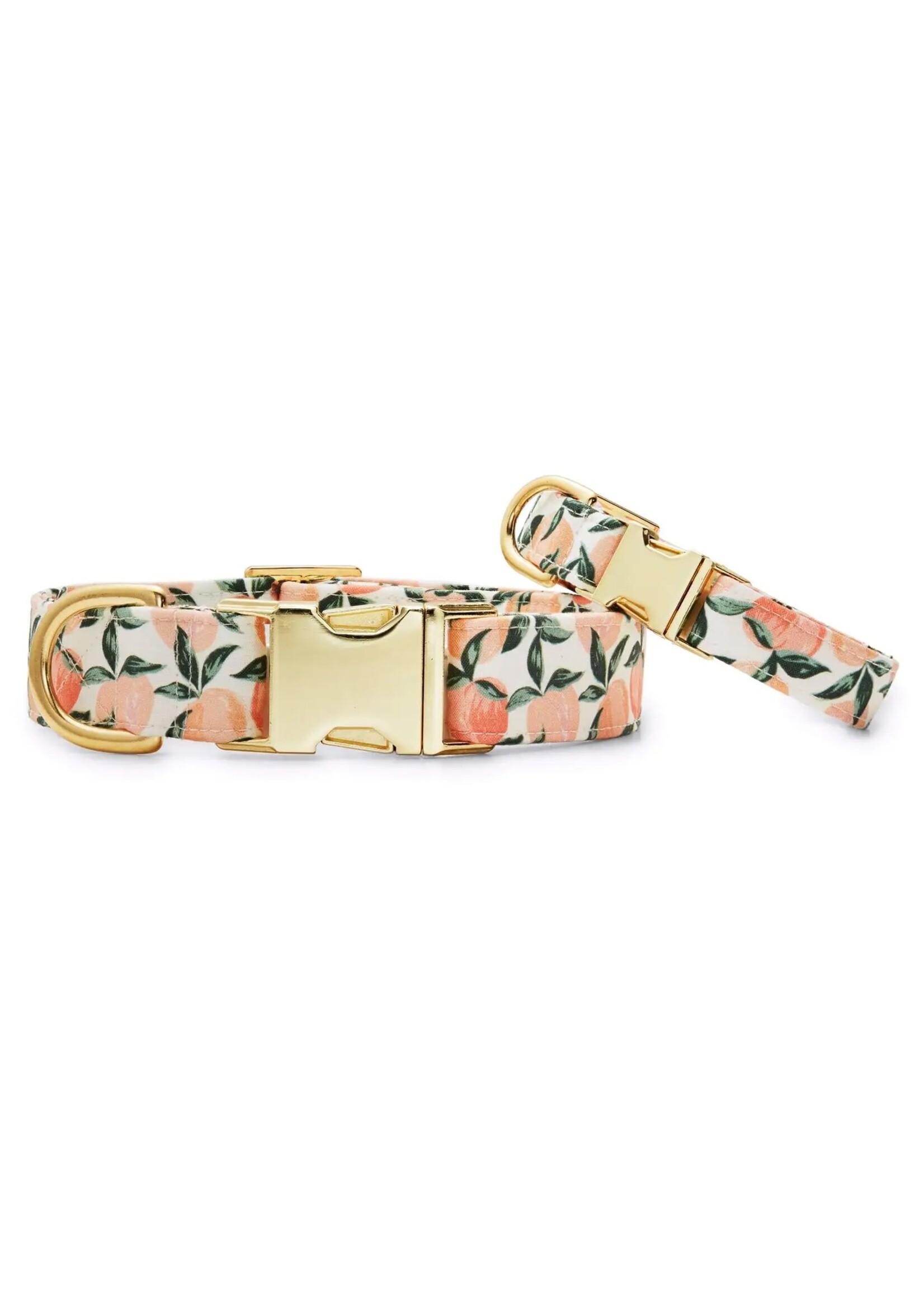 The Foggy Dog Peaches and Cream Collar