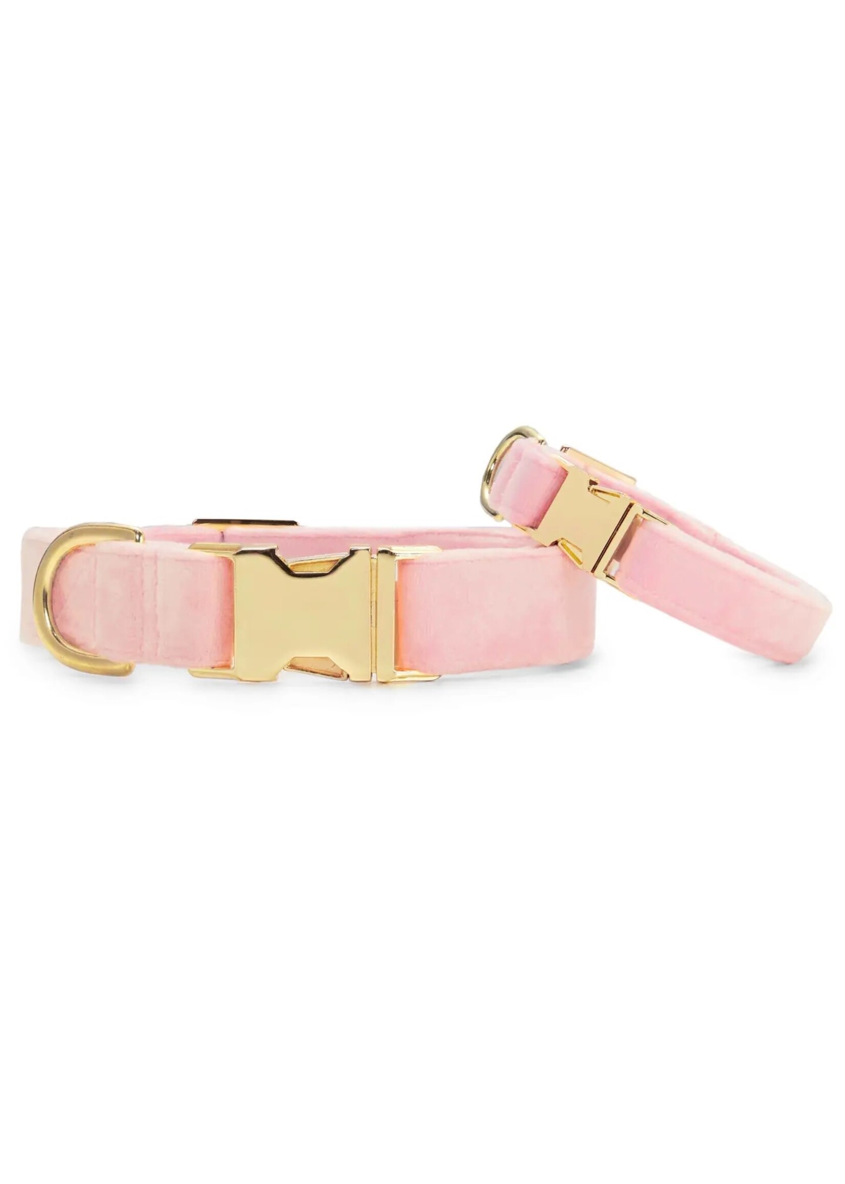 The Foggy Dog Blush Pink Velvet Collar