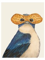 Hester & Cook Card - Lance Tree Swallow