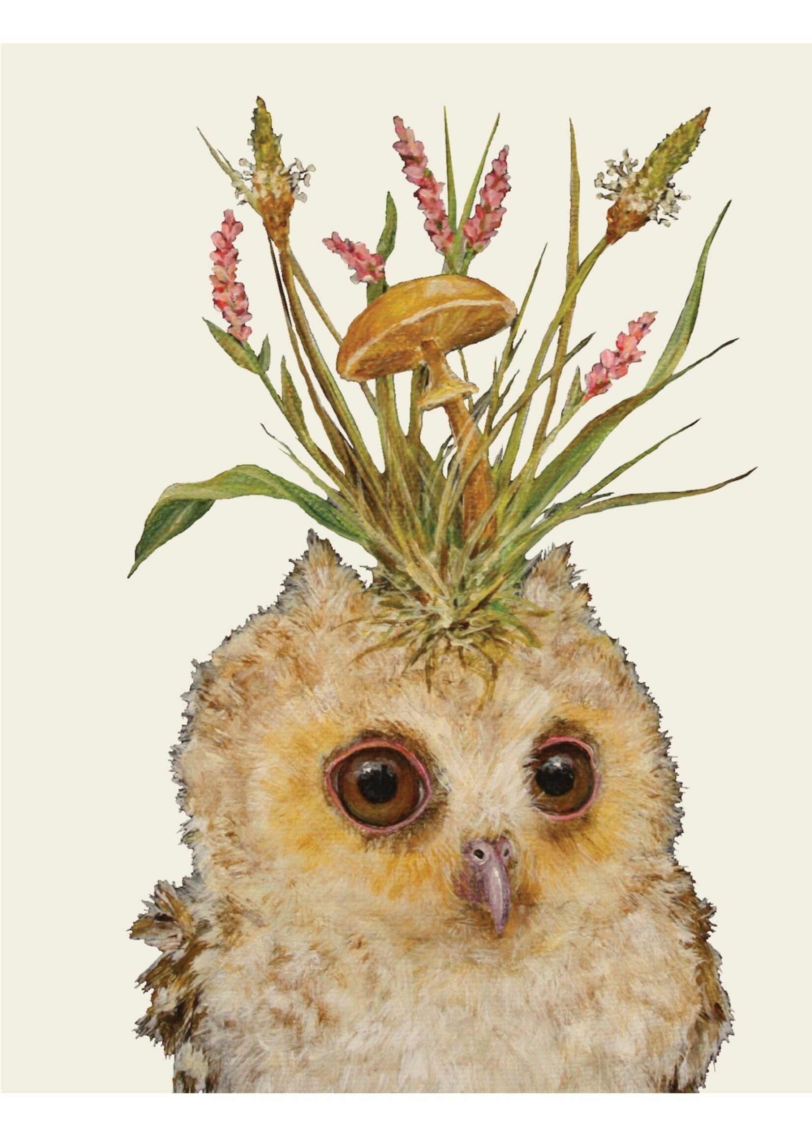 Hester & Cook Card - Louisa May Baby Owl