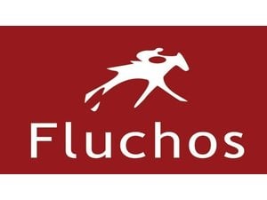 Fluchos Shoes of Europe