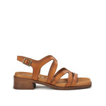 Dorking DOR ss25 D9208 Poleo