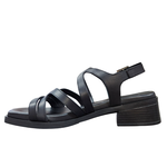 Dorking Dorking D9208 Poleo only size 37