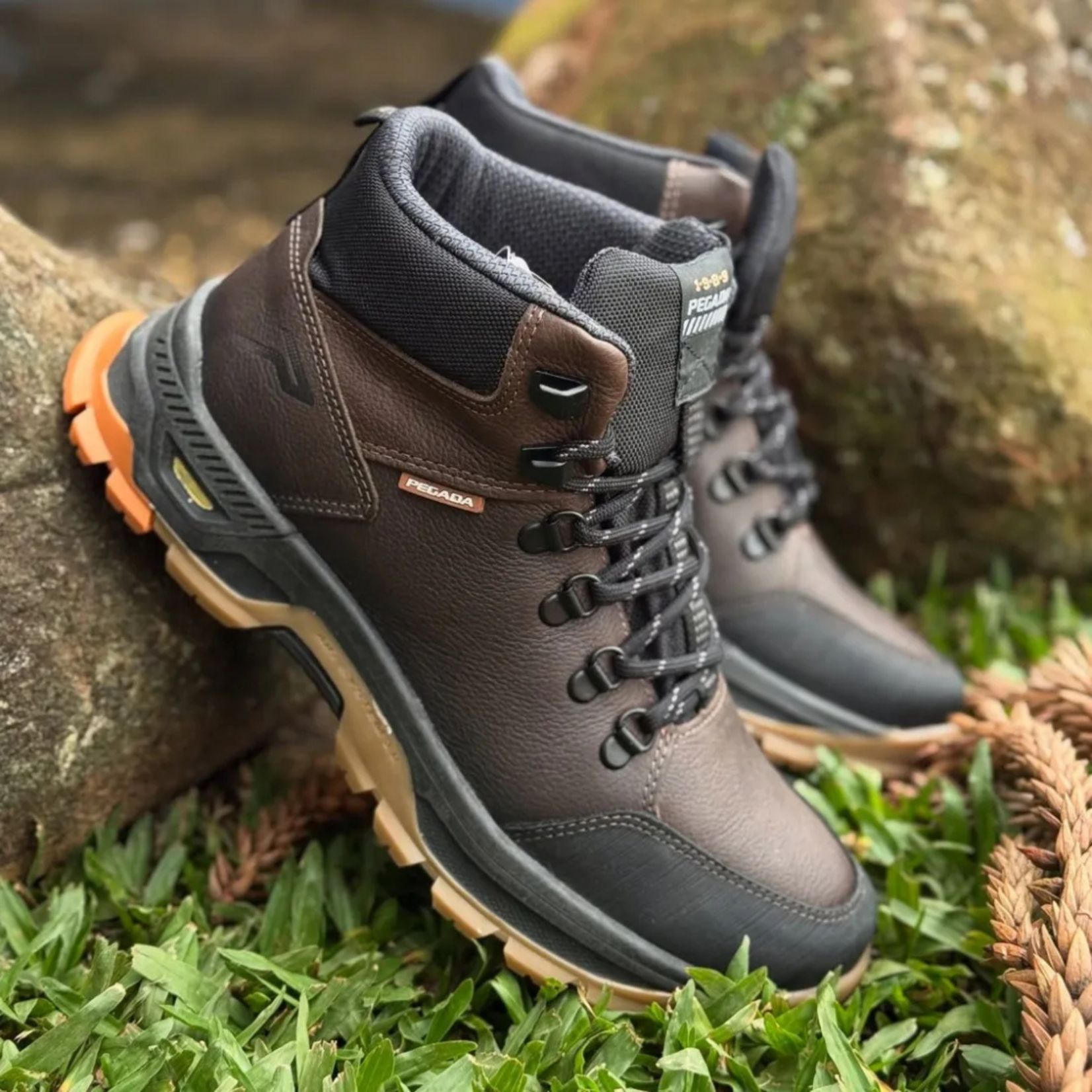 Pegada Pegada 150504-06