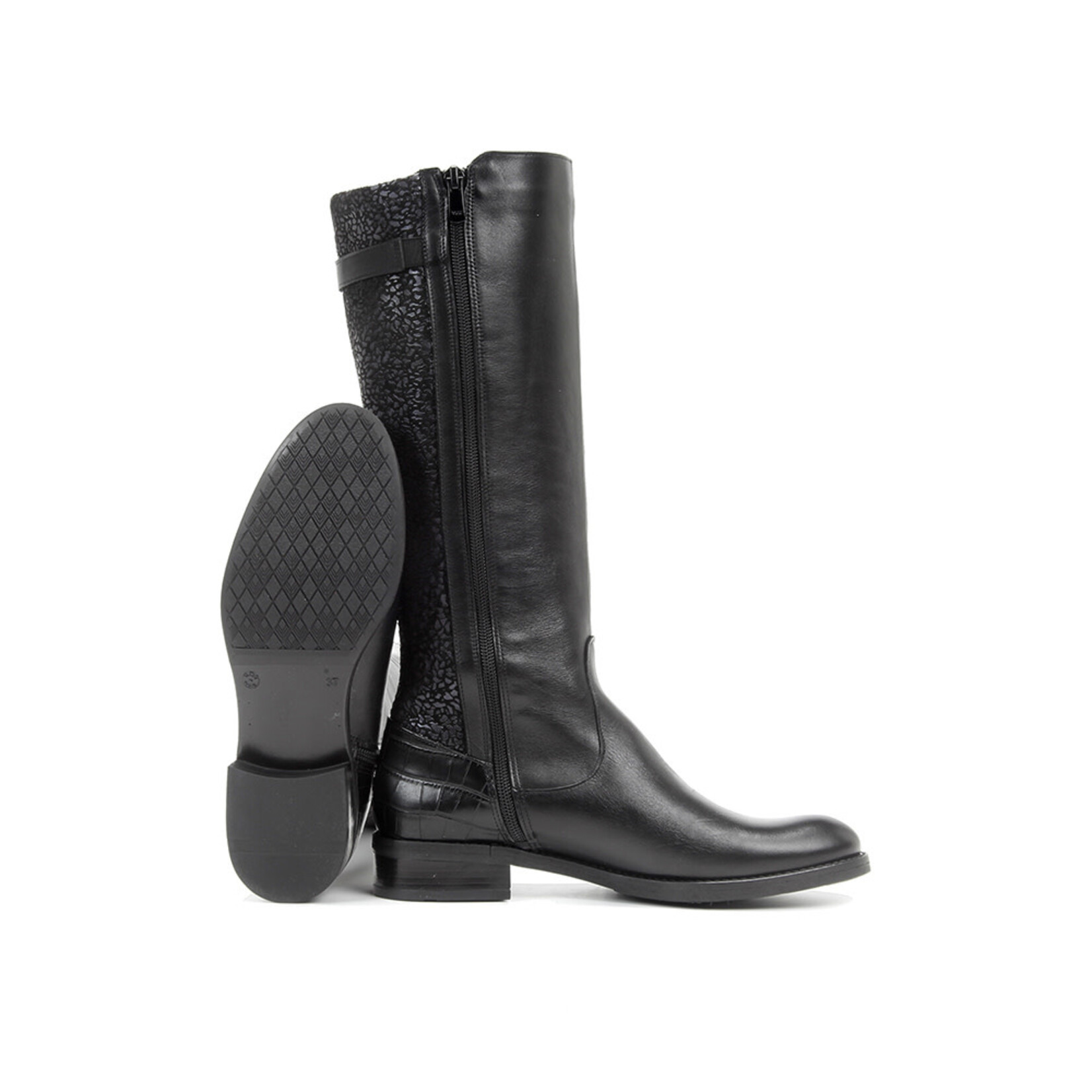 Dorking Dorking Tierra D8261