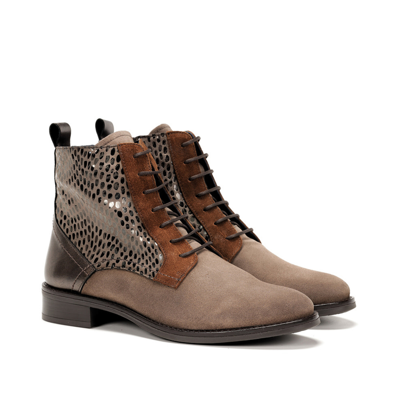 Dorking Dorking Harvard D8709