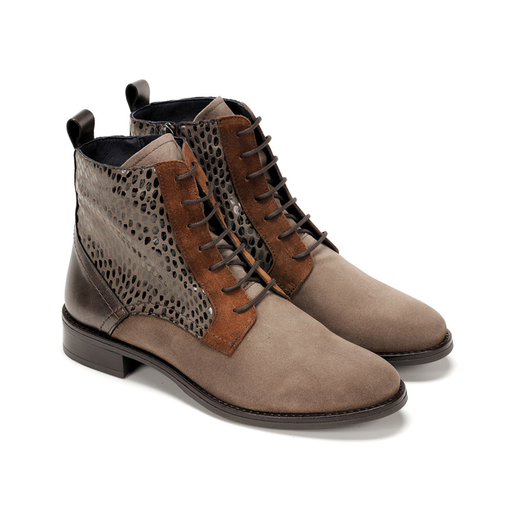 Dorking Dorking Harvard D8709