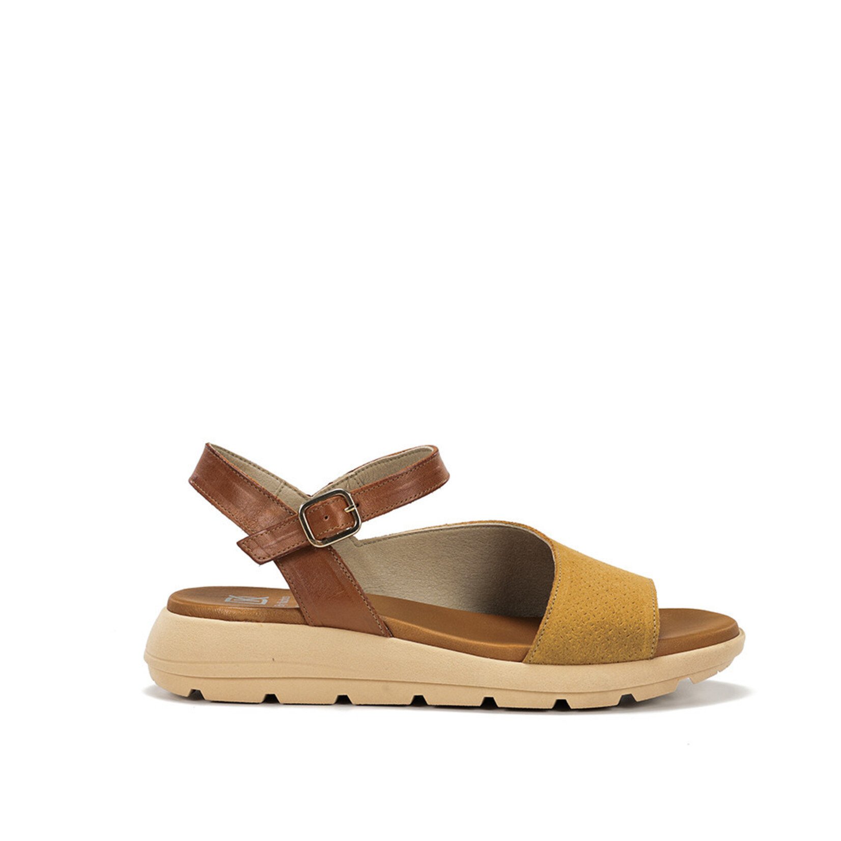 Dorking Dorking Gandia D9464