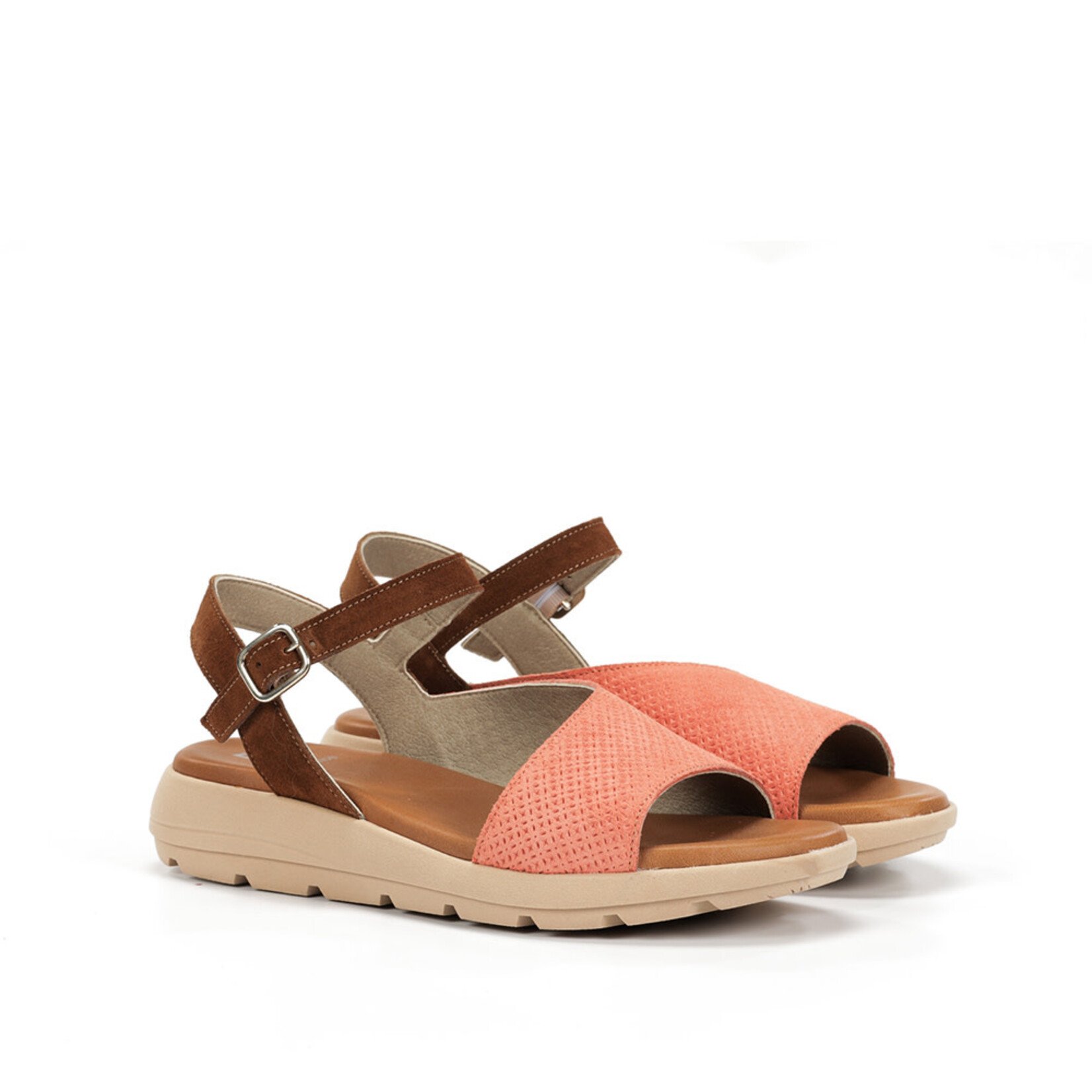 Dorking Dorking Gandia D9464