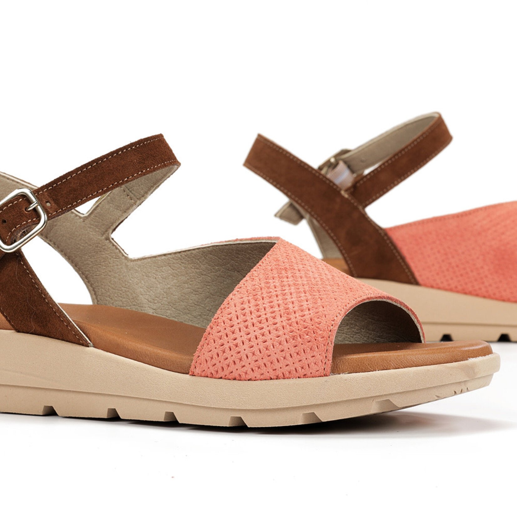 Dorking Dorking Gandia D9464